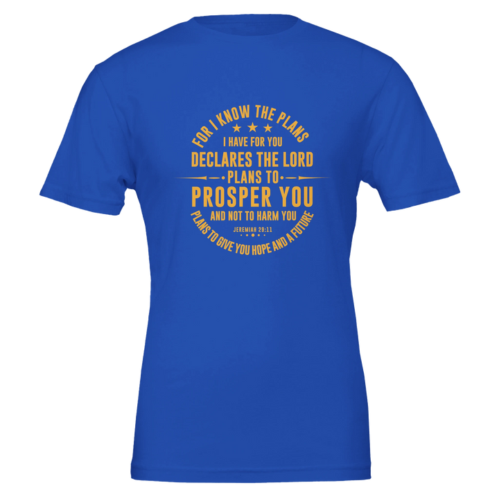 For I Know the Plans T-shirt | Kingdom Klothing Christian Tee