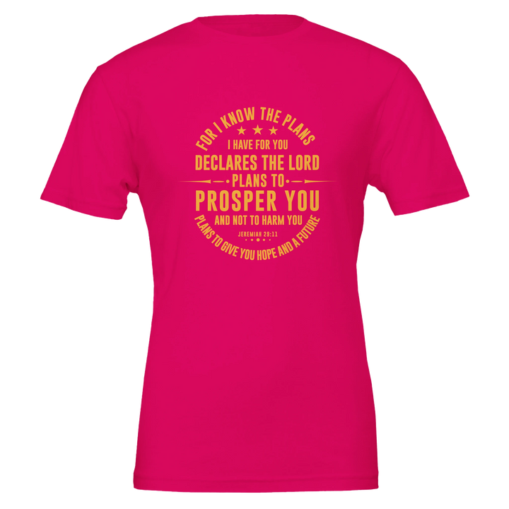For I Know the Plans T-shirt | Kingdom Klothing Christian Tee