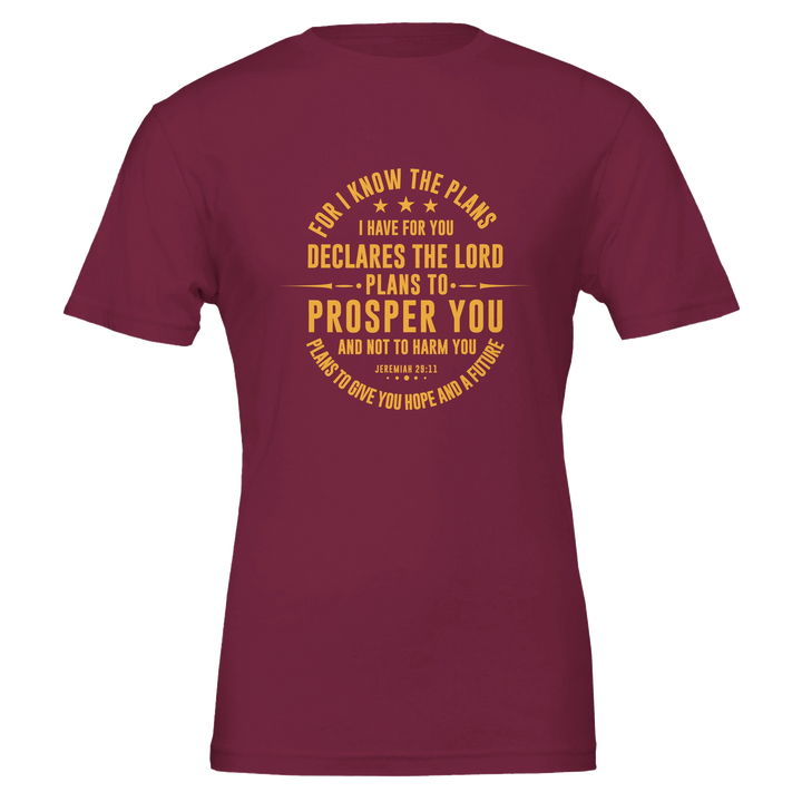 For I Know the Plans T-shirt | Kingdom Klothing Christian Tee