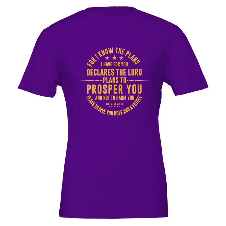 For I Know the Plans T-shirt | Kingdom Klothing Christian Tee