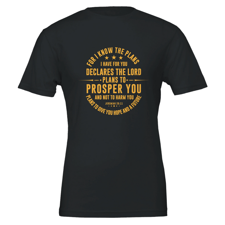 For I Know the Plans T-shirt | Kingdom Klothing Christian Tee